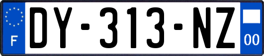DY-313-NZ
