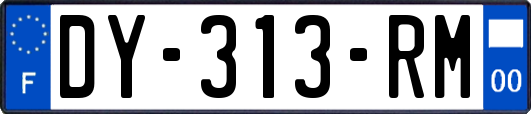 DY-313-RM