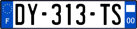 DY-313-TS