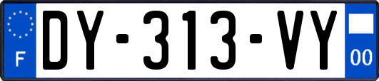 DY-313-VY