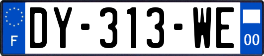 DY-313-WE