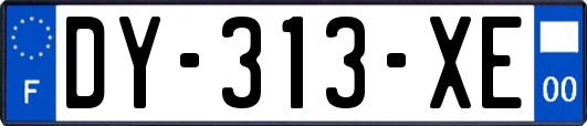 DY-313-XE