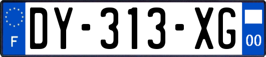 DY-313-XG