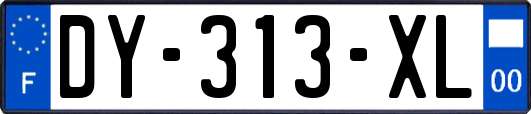 DY-313-XL