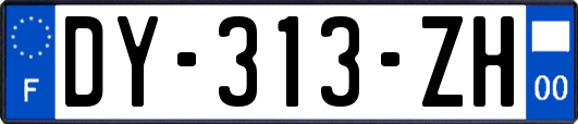 DY-313-ZH