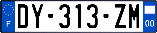 DY-313-ZM