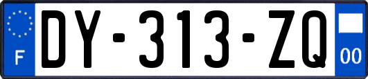 DY-313-ZQ