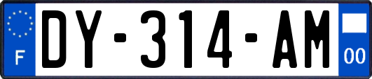 DY-314-AM