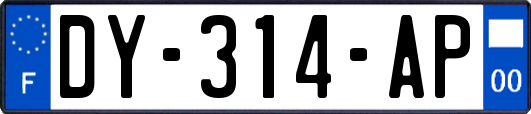 DY-314-AP