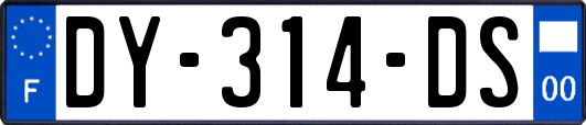 DY-314-DS