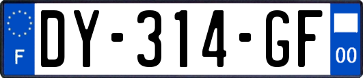 DY-314-GF