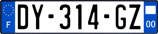 DY-314-GZ