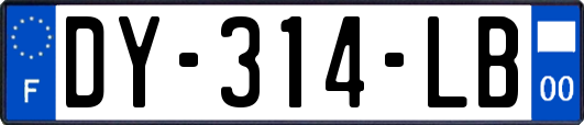 DY-314-LB