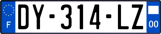 DY-314-LZ