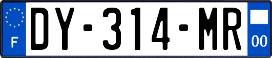 DY-314-MR