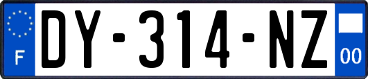 DY-314-NZ