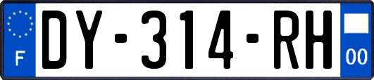 DY-314-RH