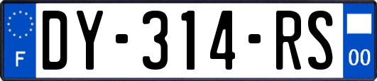 DY-314-RS