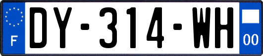 DY-314-WH