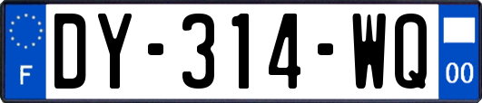 DY-314-WQ