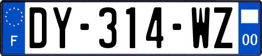 DY-314-WZ