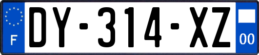 DY-314-XZ