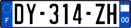 DY-314-ZH