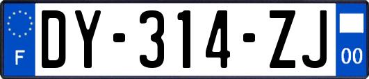 DY-314-ZJ