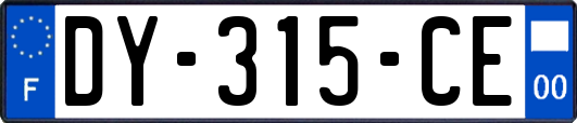 DY-315-CE