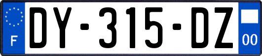 DY-315-DZ