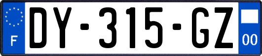 DY-315-GZ