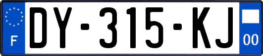 DY-315-KJ