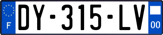 DY-315-LV
