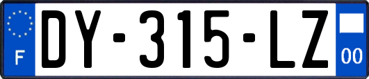 DY-315-LZ