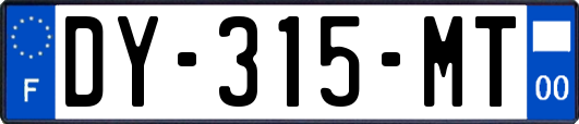 DY-315-MT