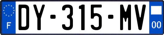 DY-315-MV