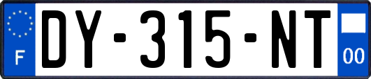 DY-315-NT