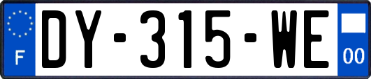 DY-315-WE