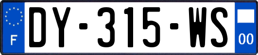 DY-315-WS