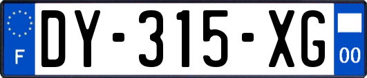 DY-315-XG