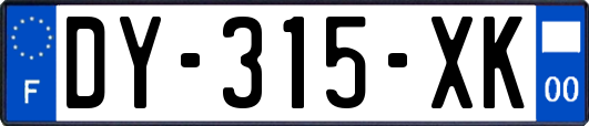 DY-315-XK