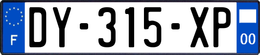 DY-315-XP