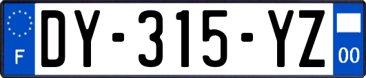 DY-315-YZ