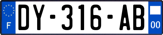 DY-316-AB