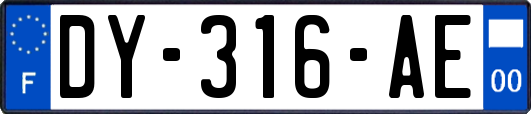 DY-316-AE