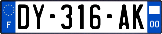 DY-316-AK