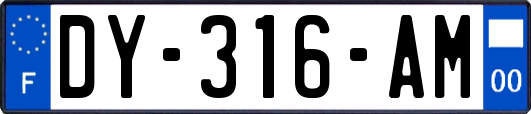 DY-316-AM