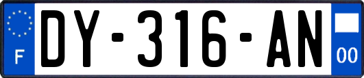 DY-316-AN