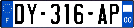 DY-316-AP