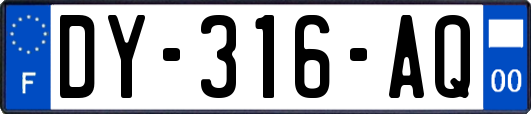 DY-316-AQ